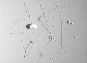 Denkplatten 3, Zellan, 2009/10, Erwin Holl