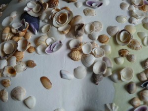 Strandgut, Keramik, Muscheln, Acrylfarbe, 2011, Detail, Erwin Holl