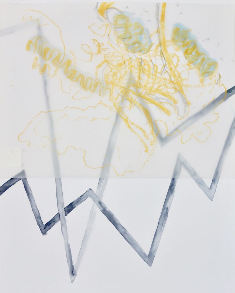 Verflechtung VI, Versch. Materialien auf Papier und Transparentpapier, 50 x 40 cm, 2023, Erwin Holl