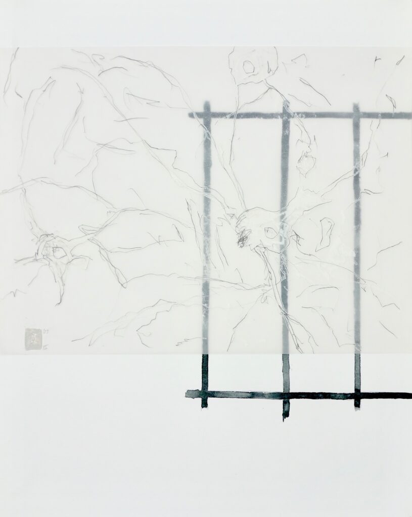 Verflechtung XII, Versch. Materialien auf Papier und Transparentpapier, 50 x 40 cm, 2023, Erwin Holl