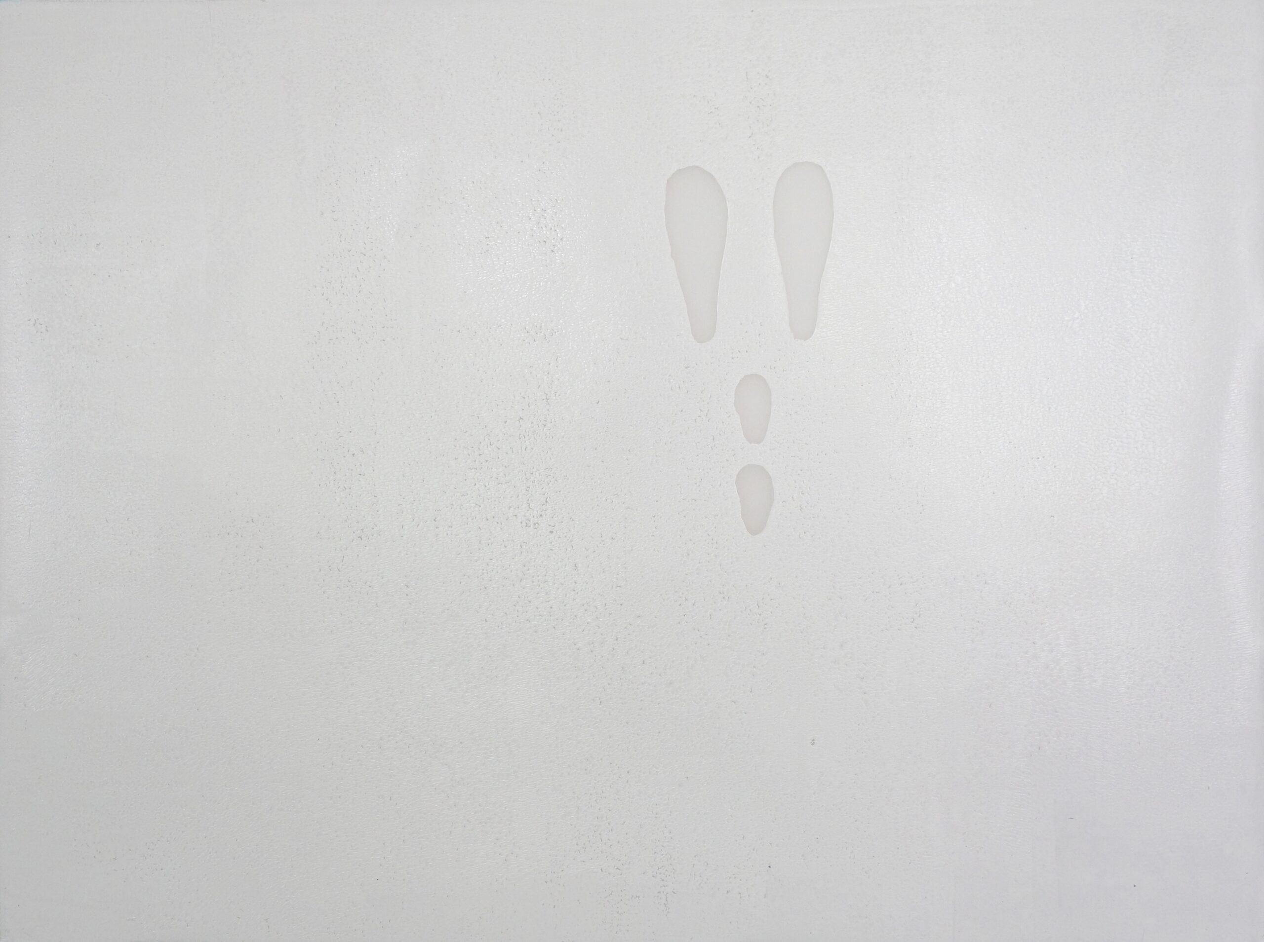 random coil f, Holzschnitt auf Transparentpapier, 45,5 x 61 cm, 2022